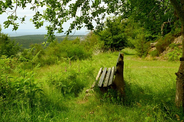 想到早先通 想到早先通