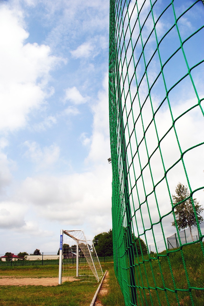 練組認為 練組認為