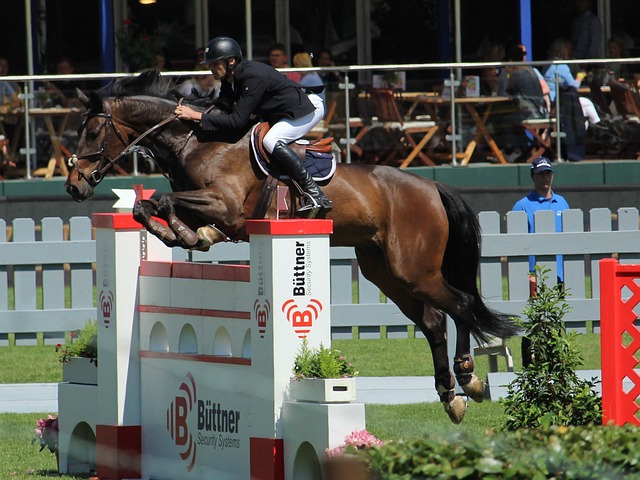 势的一个缩 势的一个缩