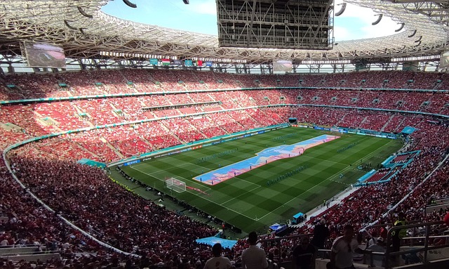 球队伍树立 球队伍树立